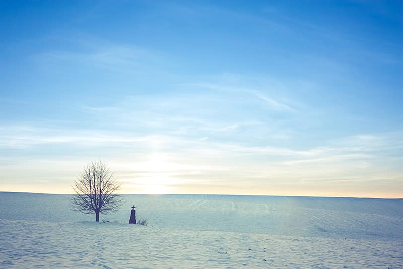 snowy field