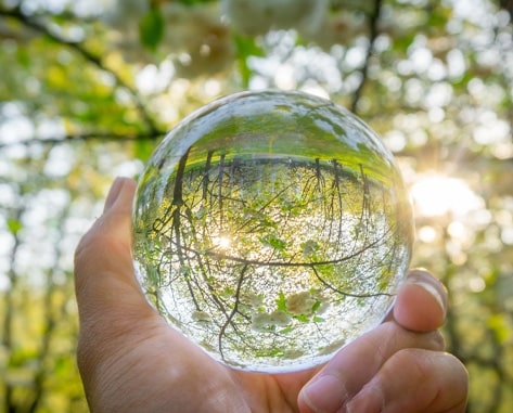 reflection of trees in glass ball