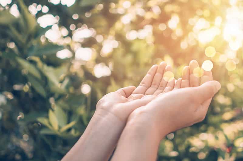 Hands in sunlight