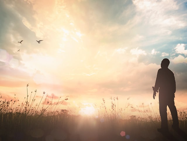 silhoutte of man looking at sunset in field