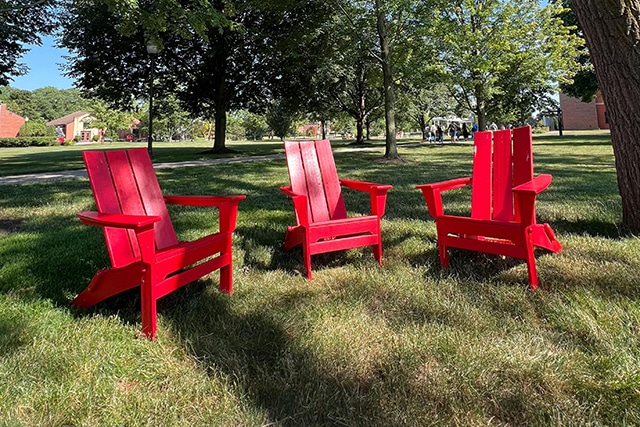 Catapillars and cocoons